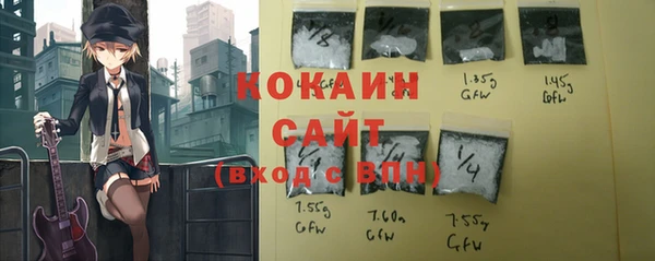 прущие грибы Осташков