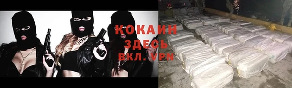 сатива Абинск