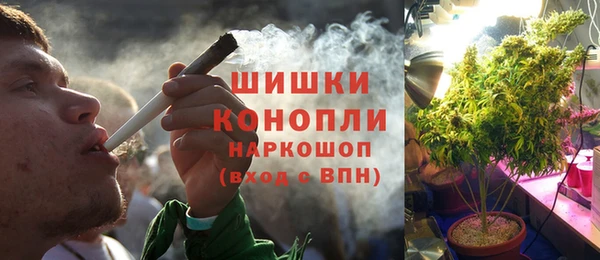 индика Абдулино