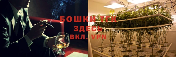 сатива Абинск
