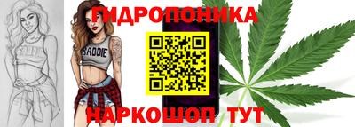 a pvp Ачхой-Мартан