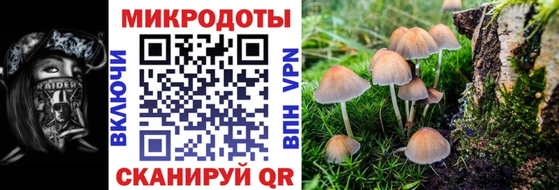 купить закладку  Канск  Галлюциногенные грибы Psilocybe 